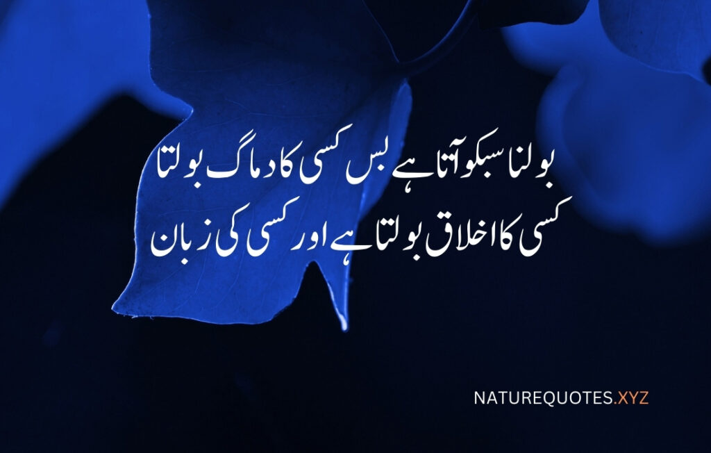 Attitude quotes in Urdu