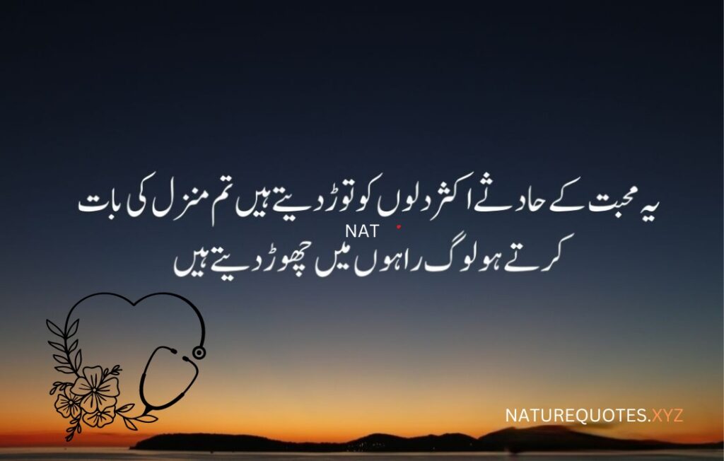 22 Urdu Best Quotes