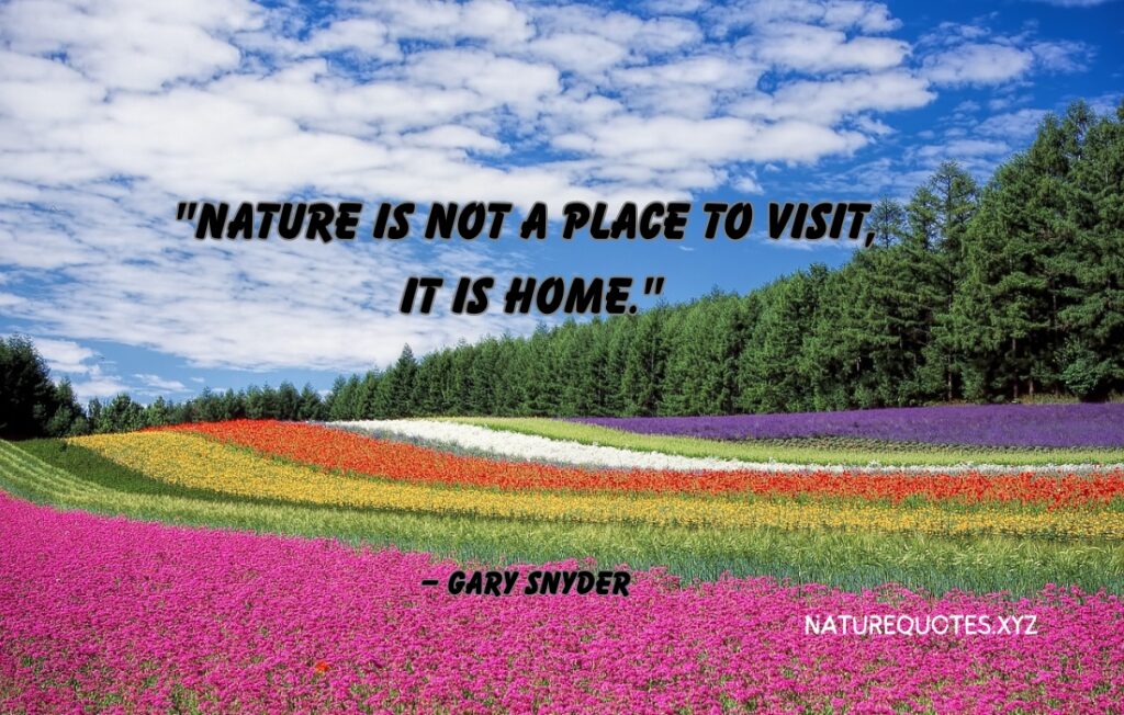 60 Creative Quotes About Nature