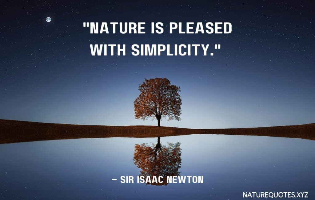 60 Creative Quotes About Nature