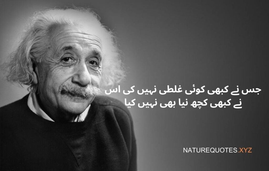 Albert Einstein Quotes in Urdu