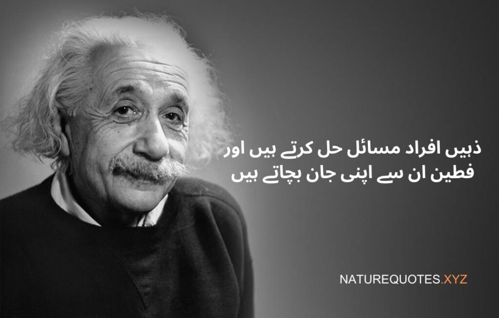 Albert Einstein Quotes in Urdu