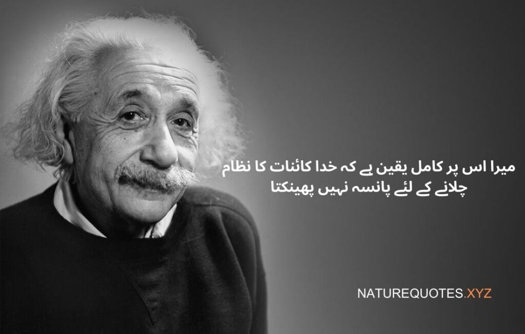 Albert Einstein Quotes in Urdu