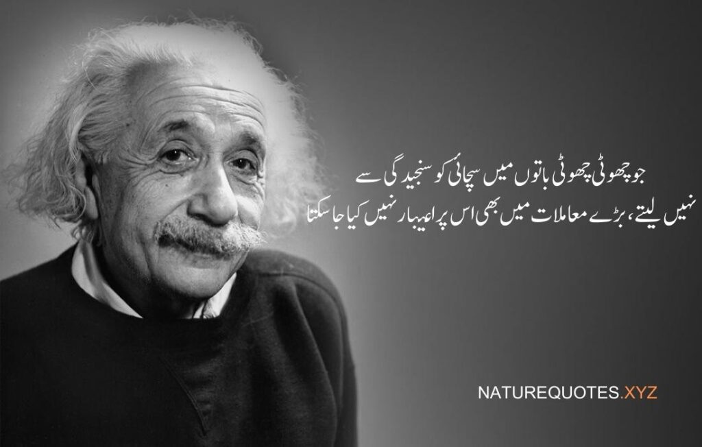 Albert Einstein Quotes in Urdu