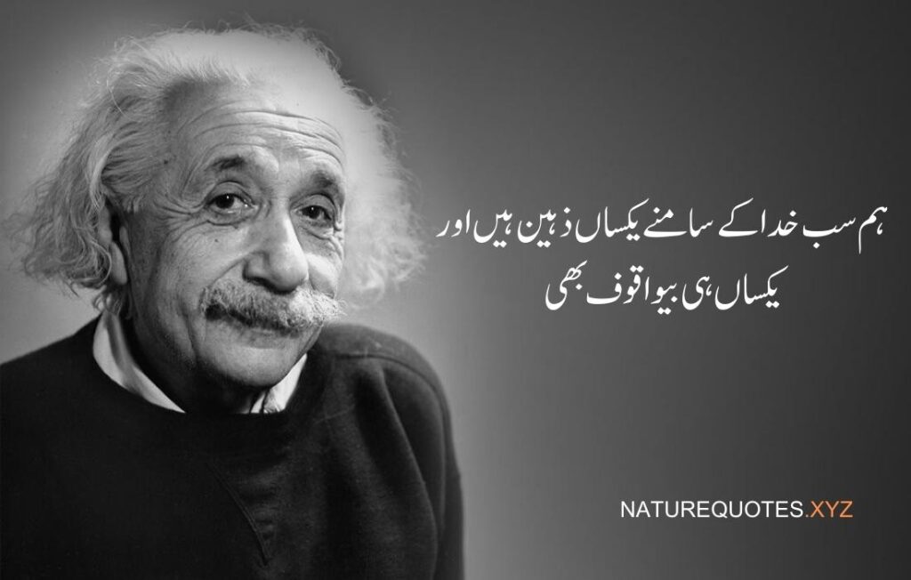 Albert Einstein Quotes in Urdu