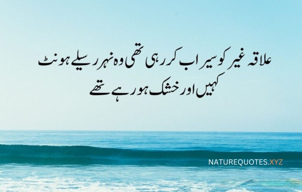 22 Urdu Best Quotes