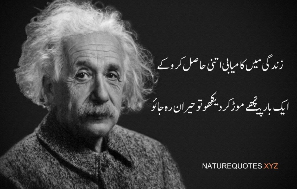 Albert Einstein Quotes in Urdu