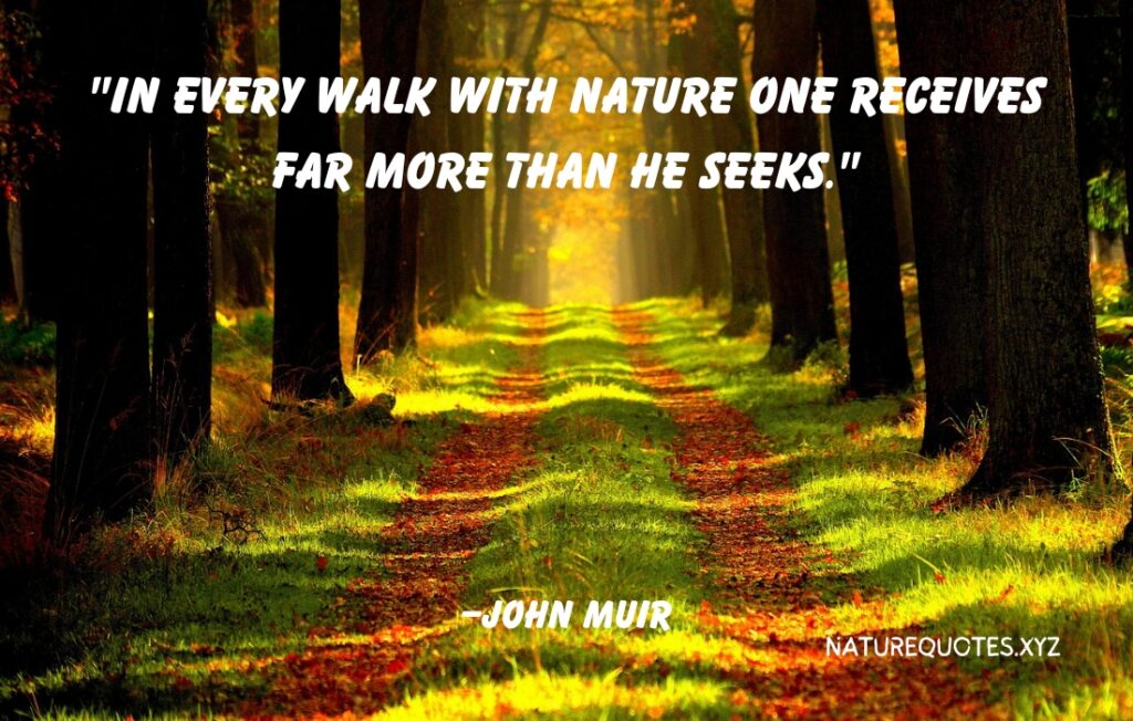 60 Creative Quotes About Nature