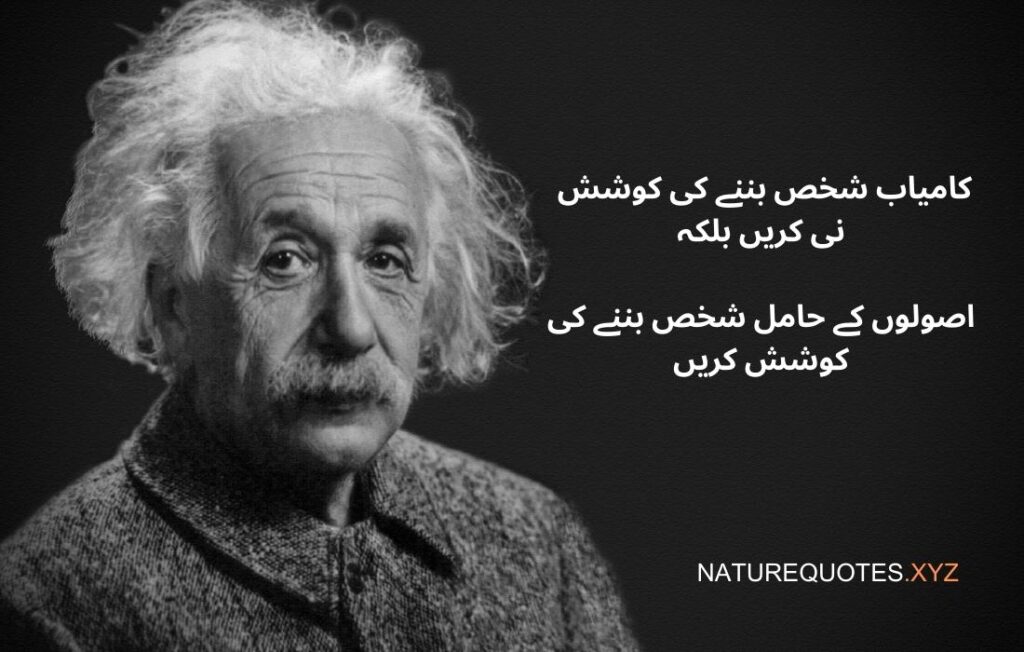 Albert Einstein Quotes in Urdu