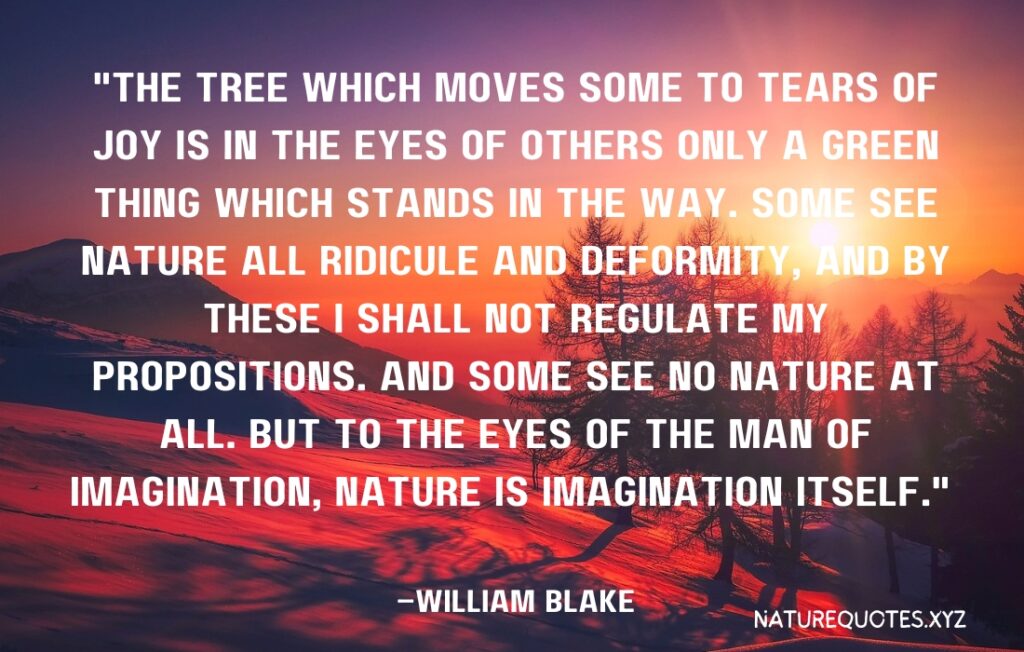 60 Creative Quotes About Nature