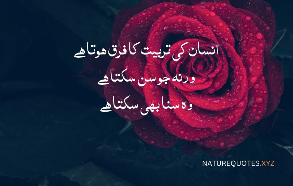 Attitude quotes in Urdu