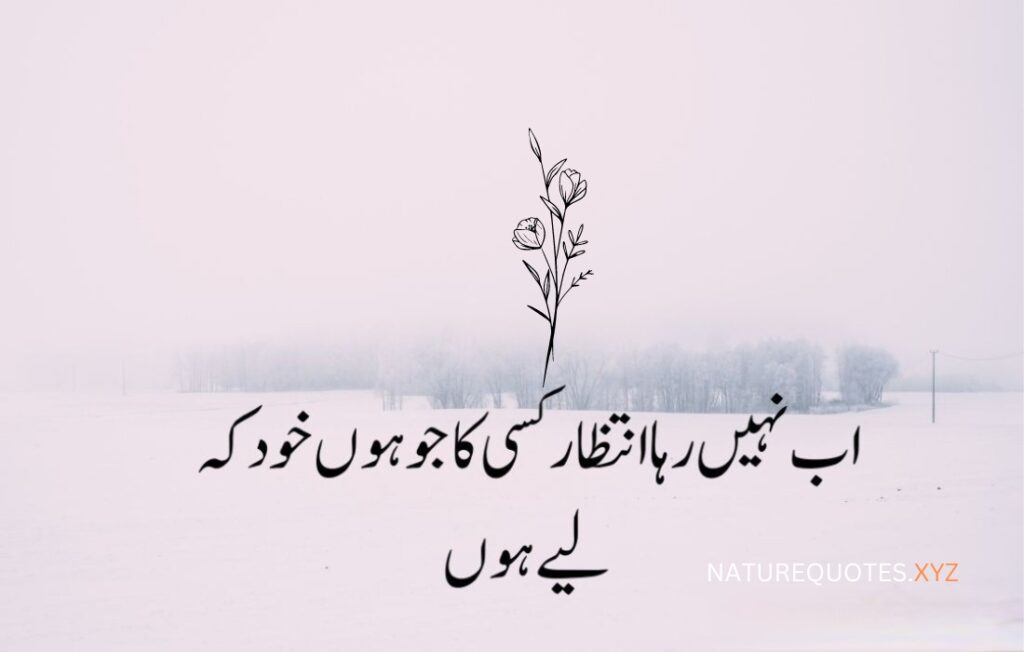 22 Urdu Best Quotes