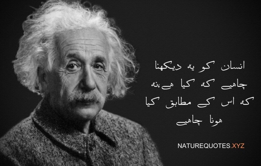 Albert Einstein Quotes in Urdu