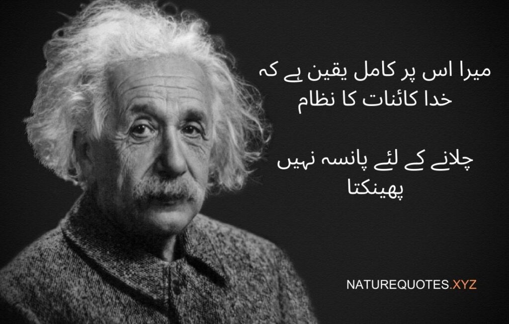 Albert Einstein Quotes in Urdu