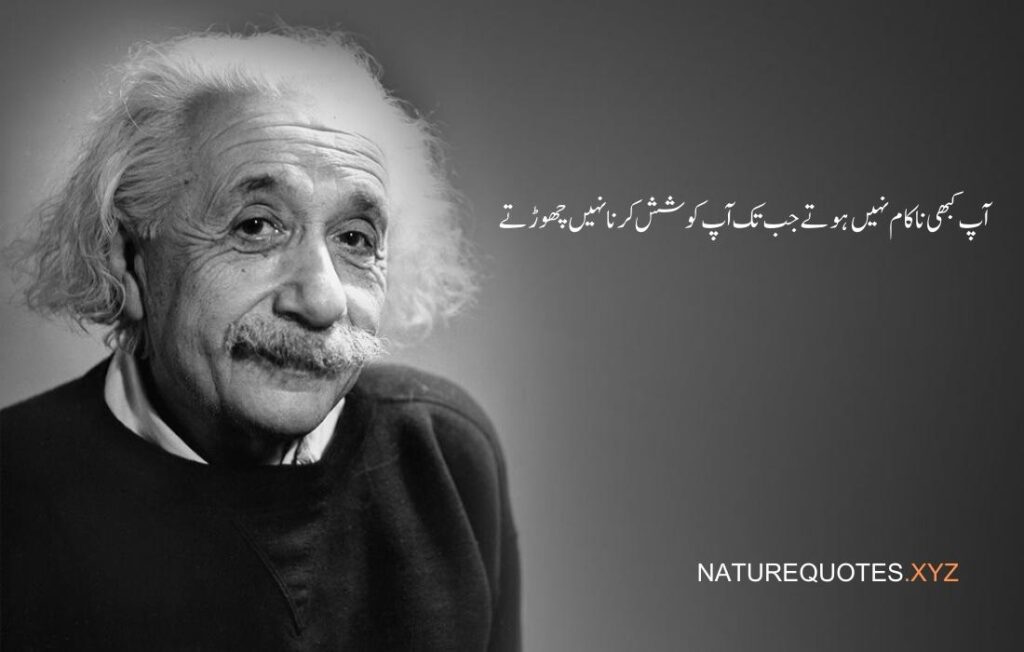 Albert Einstein Quotes in Urdu