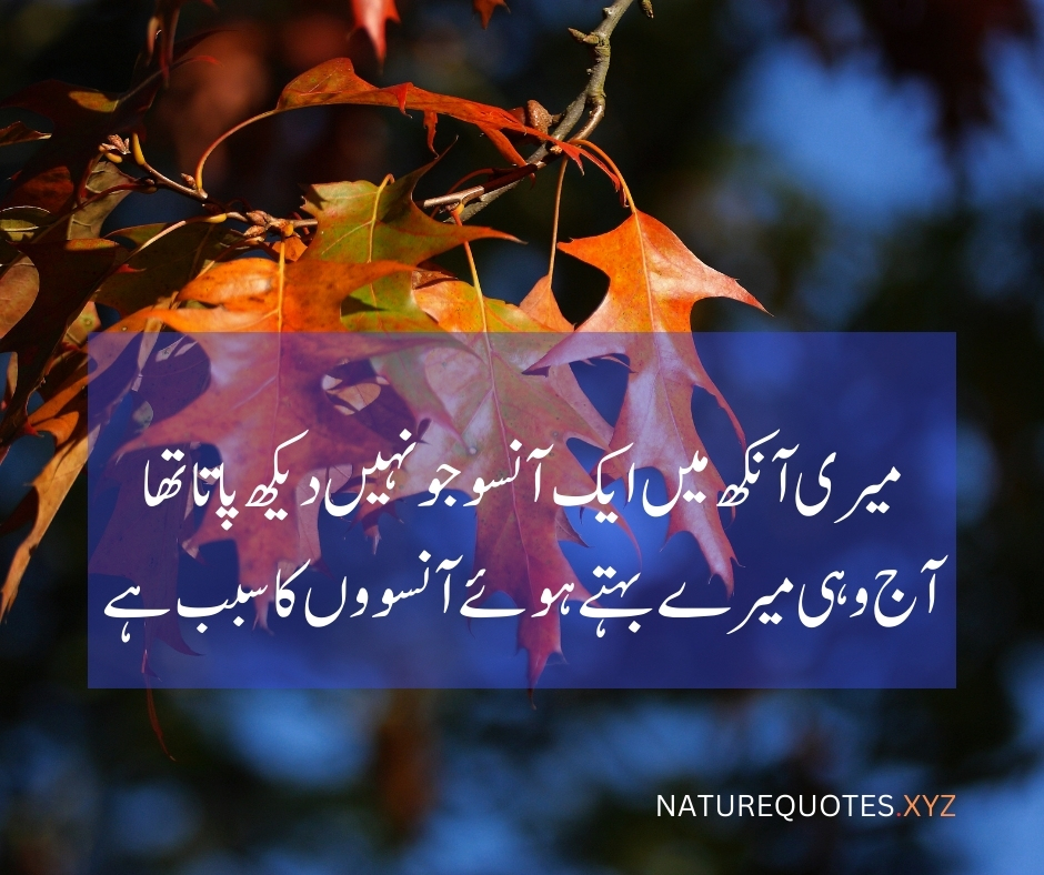 Memories in Urdu quotes