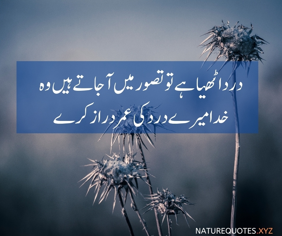 Heart touching sad poetry in urdu