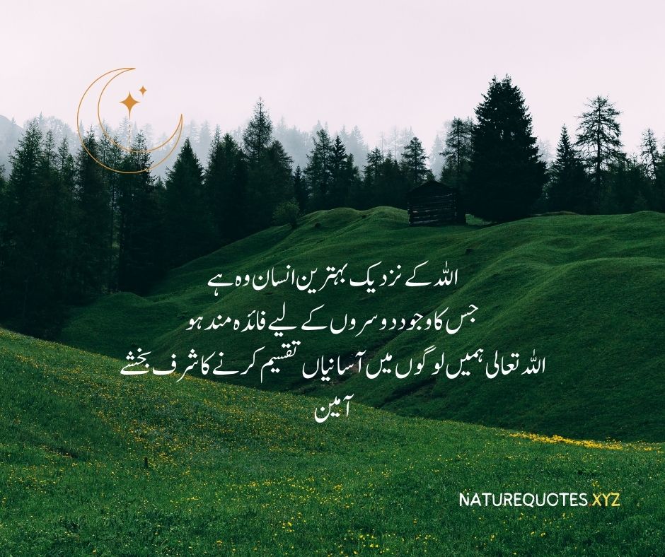 Best islamic quotes in urdu