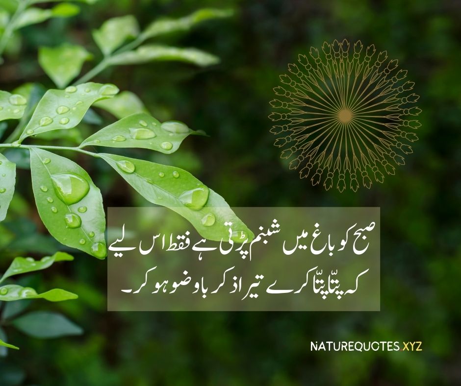 Best islamic quotes in urdu