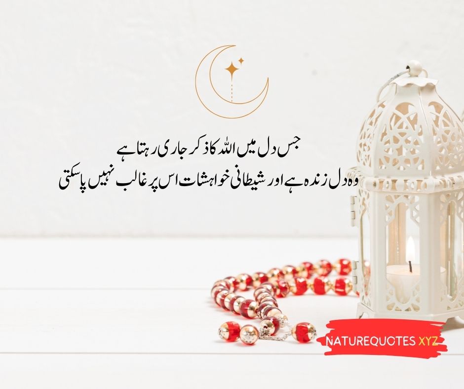 Best islamic quotes in urdu