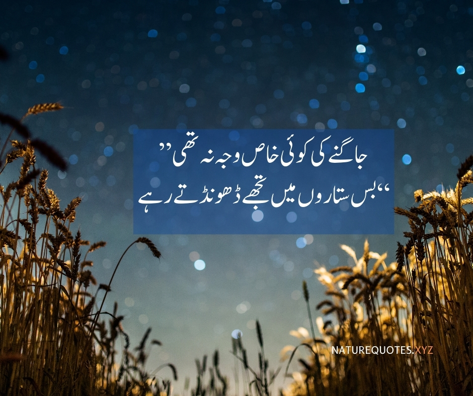 Good Night Quotes in Urdu