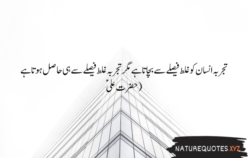 15+ Best Quotes of Hazrat Ali (R.A)