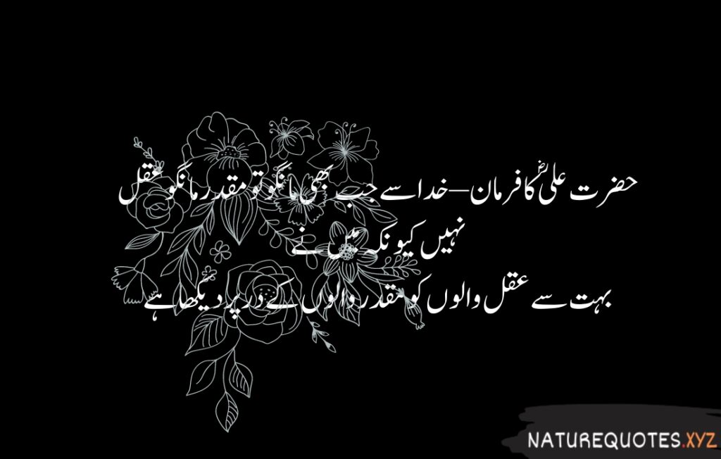 15+ Best Quotes of Hazrat Ali (R.A)