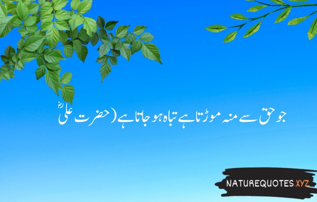 15+ Best Quotes of Hazrat Ali (R.A)