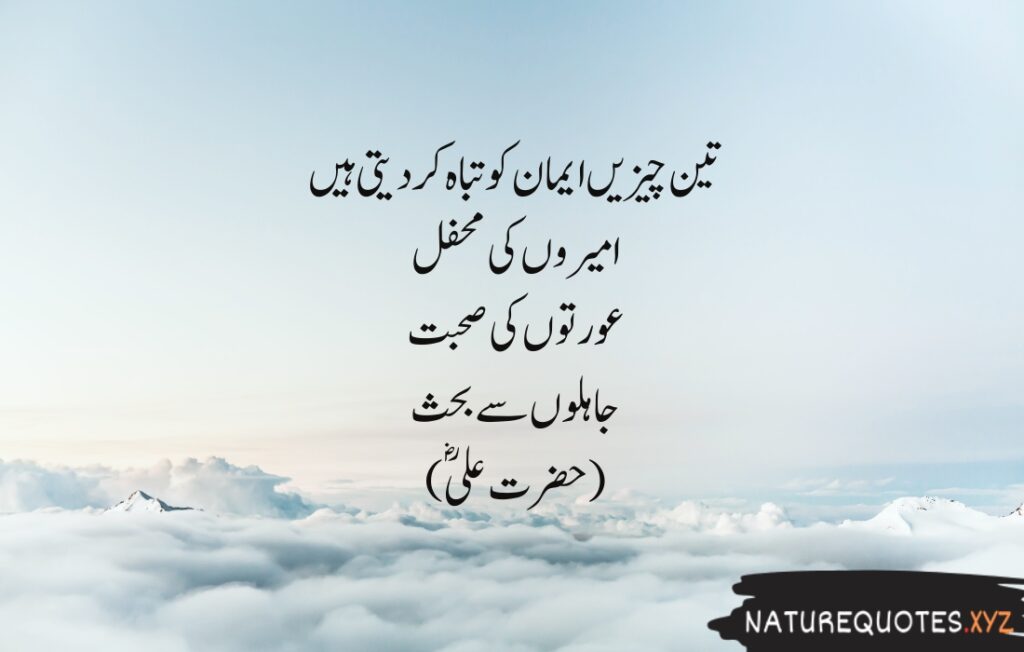 15+ Best Quotes of Hazrat Ali (R.A)