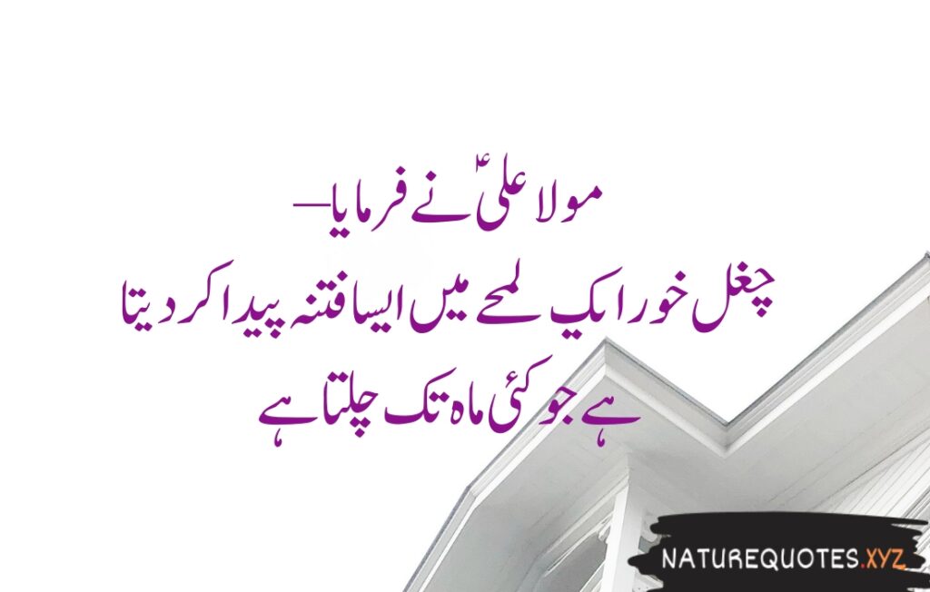 15+ Best Quotes of Hazrat Ali (R.A)