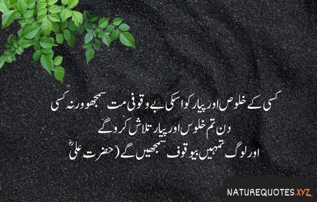 15+ Best Quotes of Hazrat Ali (R.A)