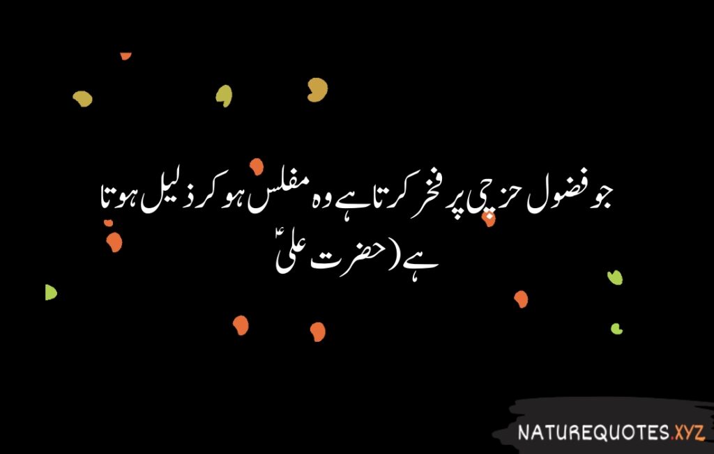 15+ Best Quotes of Hazrat Ali (R.A)