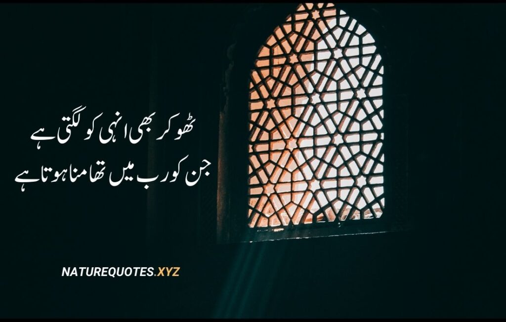 35 Best Islamic Quotes in urdu