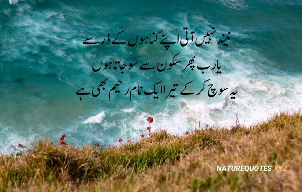 35 Best Islamic Quotes in urdu