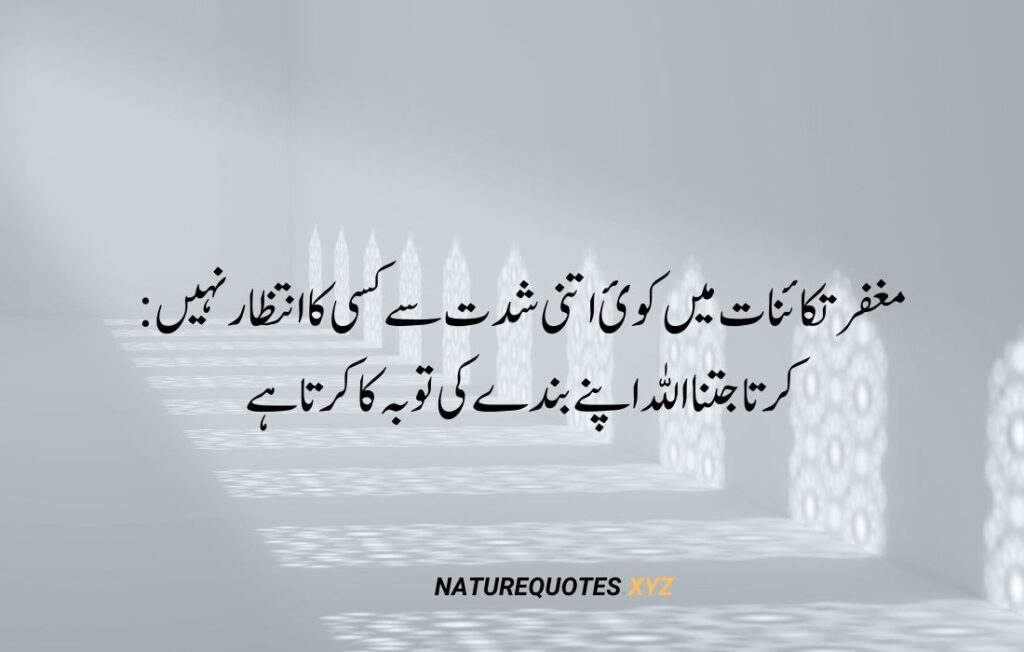 35 Best Islamic Quotes in urdu