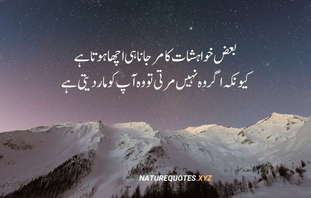 35 Best Islamic Quotes in urdu