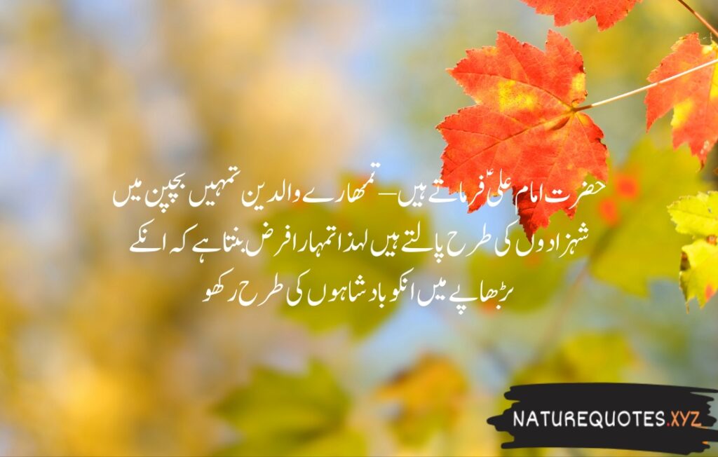 15+ Best Quotes of Hazrat Ali (R.A)