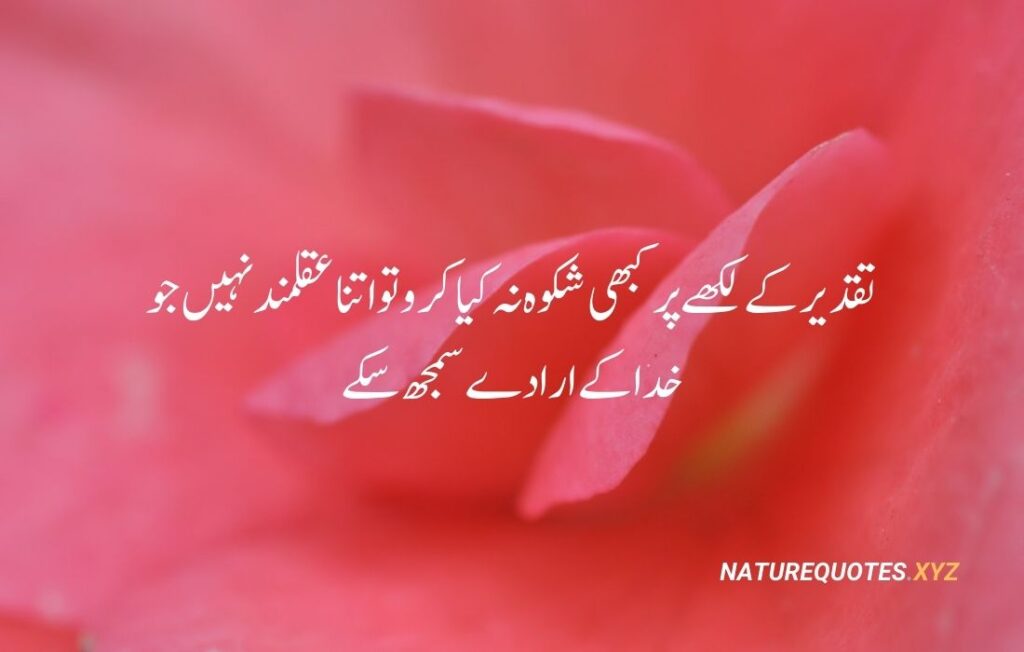 35 Best Islamic Quotes in urdu