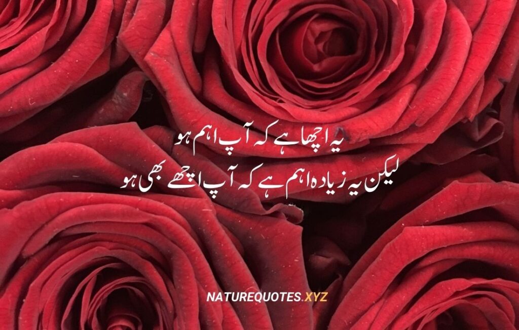 35 Best Islamic Quotes in urdu