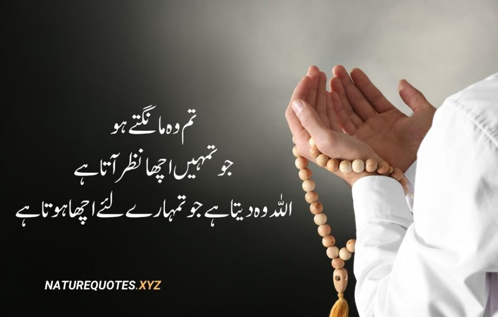 35 Best Islamic Quotes in urdu