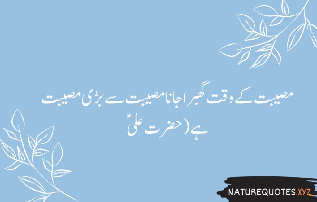 15+ Best Quotes of Hazrat Ali (R.A)