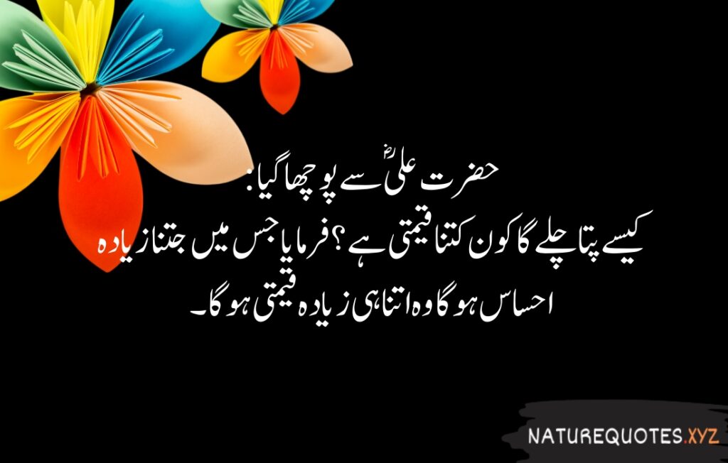 15+ Best Quotes of Hazrat Ali (R.A)