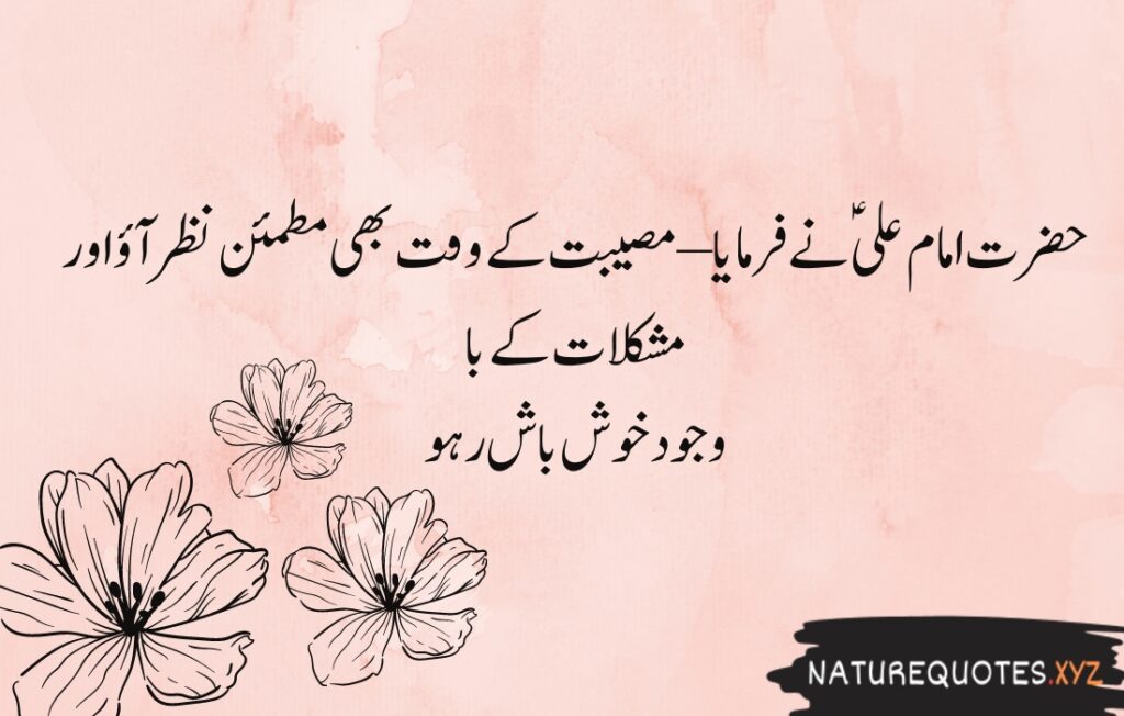 15+ Best Quotes of Hazrat Ali (R.A)