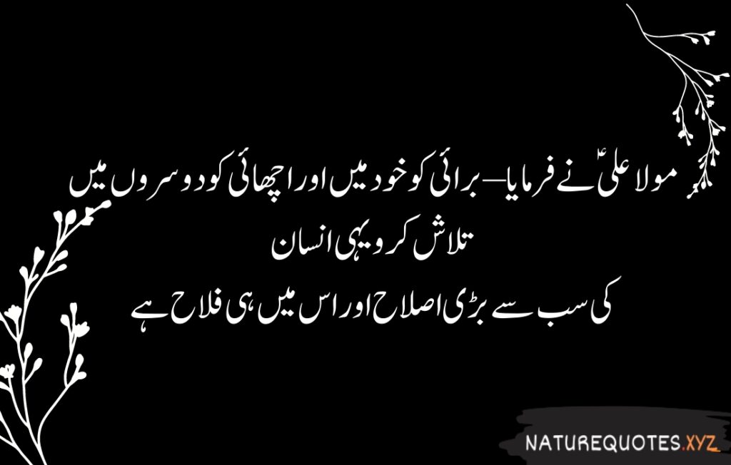 15+ Best Quotes of Hazrat Ali (R.A)