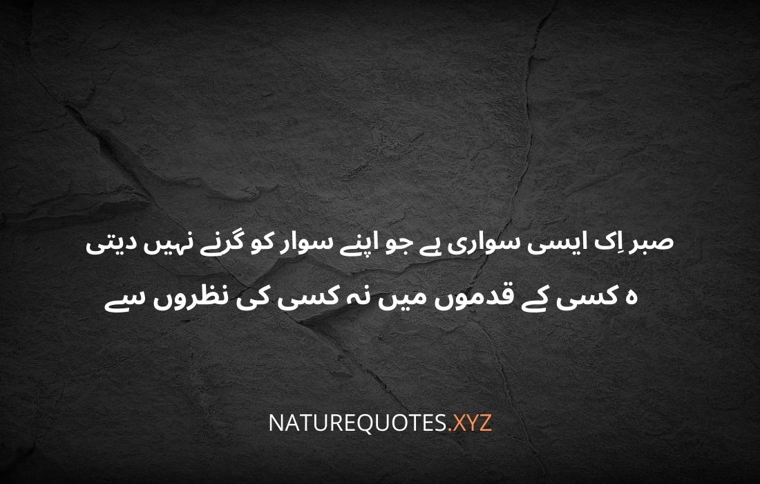 HAZRAT ALI R.A QUOTES IN URDU