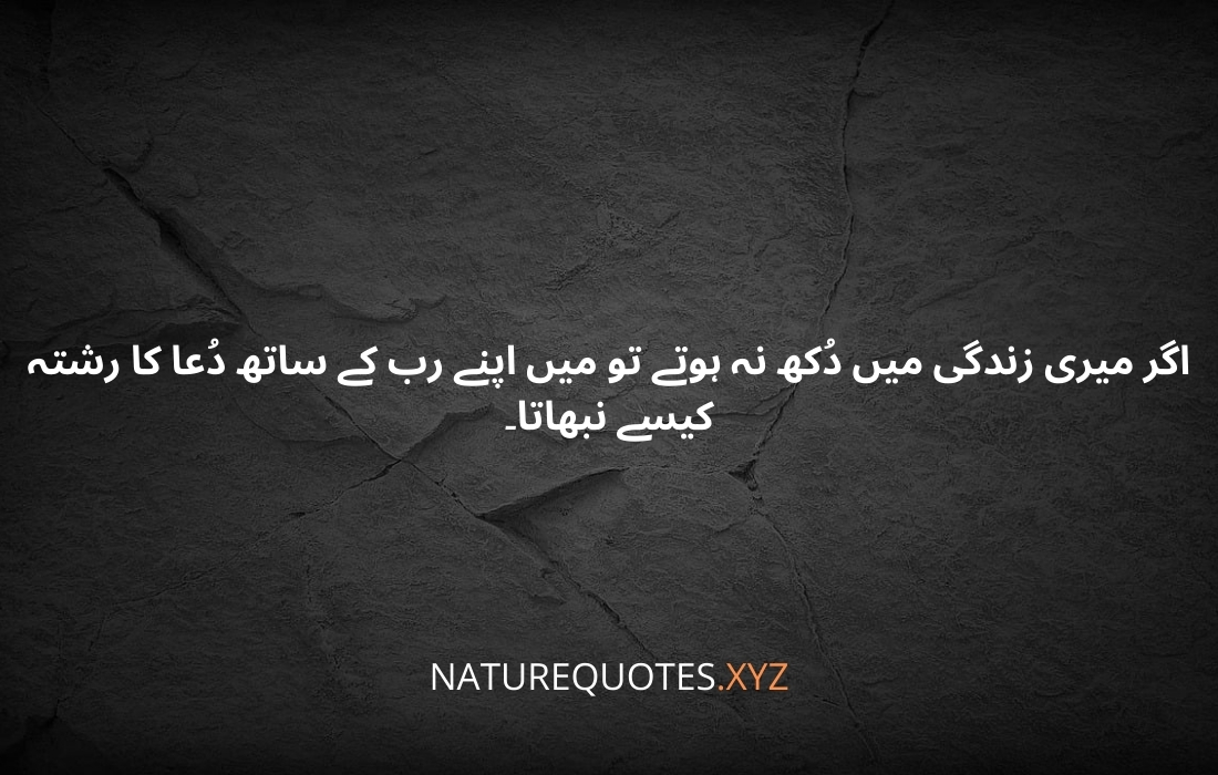 HAZRAT ALI R.A QUOTES IN URDU