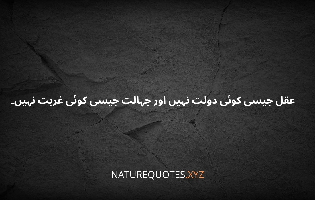 HAZRAT ALI R.A QUOTES IN URDU