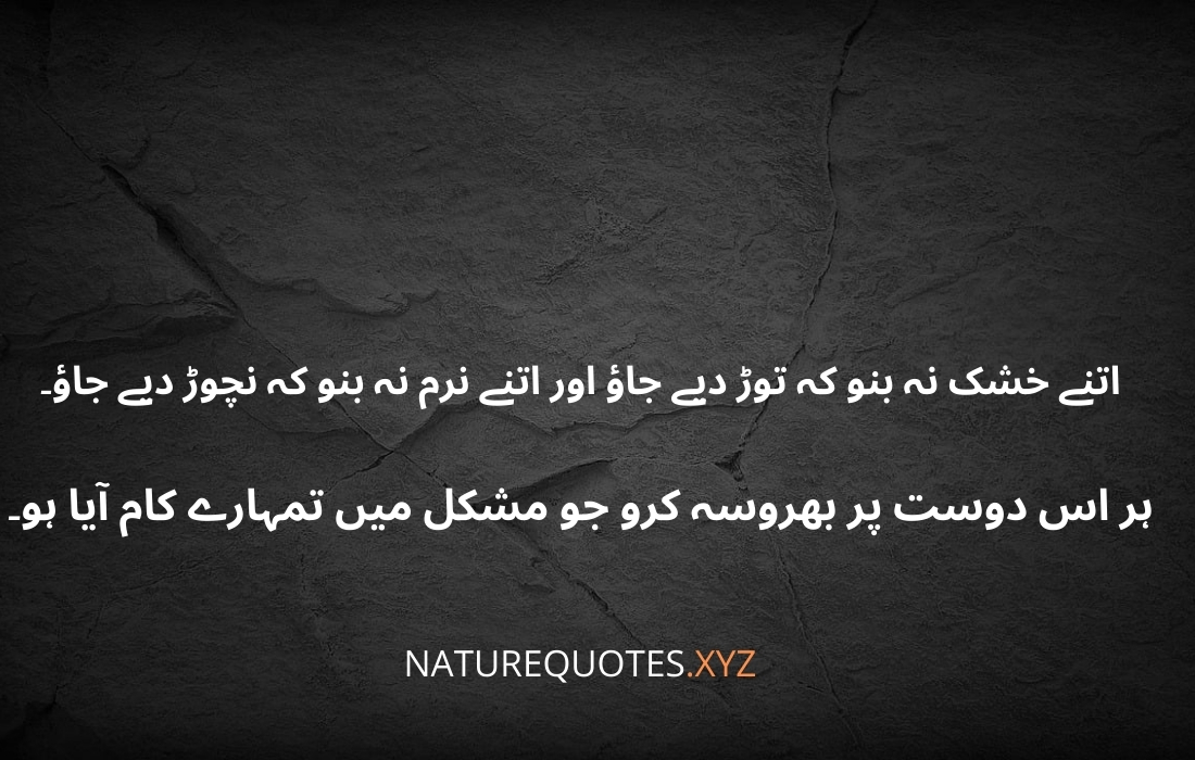 HAZRAT ALI R.A QUOTES IN URDU